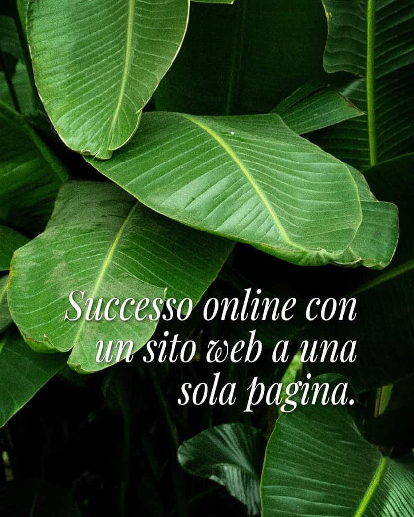 Distinguiti online con un sito web a pagina unica: semplice, efficace e creato su misura per la tua attività.