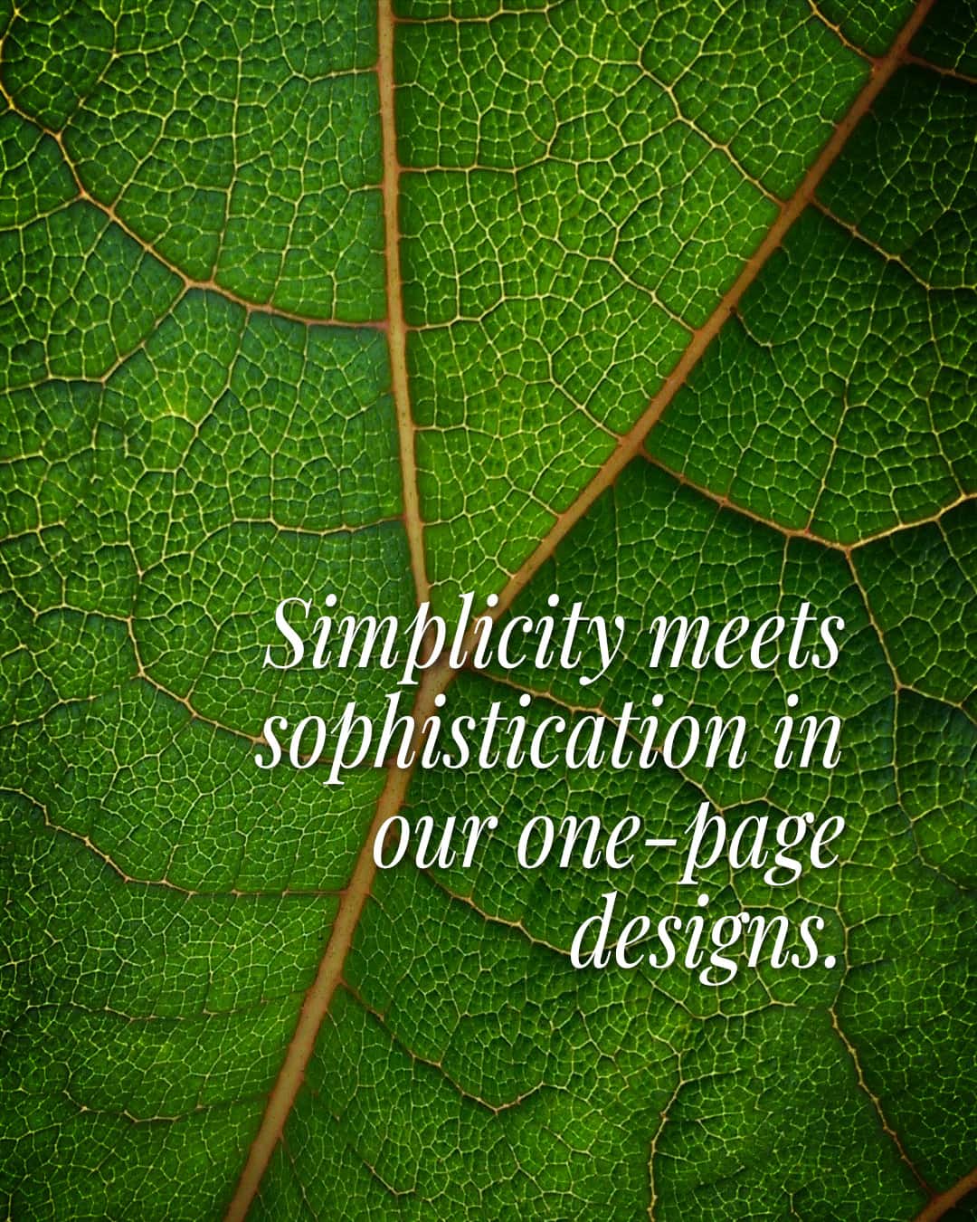 Get a custom one-page website, designed to capture your visitors' attention and maximize impact.